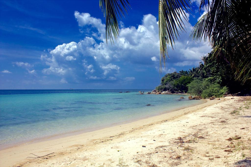 The Green Palm เกาะพะงัน ห้อง รูปภาพ